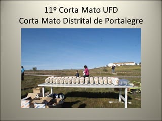 11º Corta Mato UFD Corta Mato Distrital de Portalegre 
