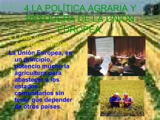 4.LA POLÍTICA AGRARIA Y PESQUERA DE LA UNIÓN EUROPEA. 4.1.UNA POLÍTICA AGRARIA COMÚN. La Unión Europea, en un principio, potencio mucho la agricultura para abastecer a los estados comunitarios sin tener que depender de otros países.  
