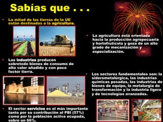 Sabías que . . . La mitad de las tierras de la UE están destinadas a la  agricultura .  La agricultura está orientada hacia la producción agropecuaria y hortofrutícola y goza de un alto grado de mecanización y especialización.   Las  industrias  producen sobretodo bienes de consumo de alto valor añadido y con poco factor tierra. Los sectores fundamentales son: la siderometalúrgica, las industrias químicas pesadas, las industrias de bienes de equipo, la metalurgia de transformación y la industria ligera y de tecnologías avanzadas.   El sector  servicios  es el más importante tanto por su contribución al PBI (57%) como por la población activa ocupada, sobre un 66%.  
