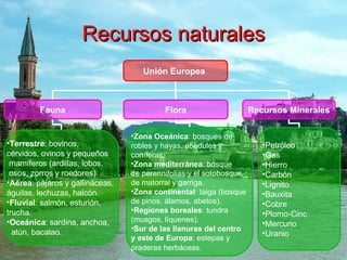 Recursos naturales Unión Europea Fauna Flora Recursos Minerales Terrestre : bovinos,  cérvidos, ovinos y pequeños  mamíferos (ardillas, lobos,  osos, zorros y roedores)  Aérea : pájaros y gallináceas,  águilas, lechuzas, halcón.  Fluvial : salmón, esturión,  trucha.  Oceánica : sardina, anchoa,  atún, bacalao.  Zona Oceánica : bosques de  robles y hayas, abedules y  coníferas.  Zona mediterránea : bosque  de perennifolias y el sotobosque  de matorral y garriga.  Zona continental : taiga (bosque  de pinos, álamos, abetos).  Regiones boreales : tundra  (musgos, líquenes).  Sur de las llanuras del centro  y este de Europa : estepas y  praderas herbáceas.   Petróleo  Gas  Hierro  Carbón Lignito  Bauxita  Cobre  Plomo-Cinc  Mercurio  Uranio 