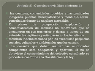 las comunas, comunidades, pueblos y nacionalidades indígenas, pueblos afroecuatoriano y montubio, serán  consultadas dentro de un plazo razonable.  En planes de prospección, explotación y comercialización de recursos no renovables que se encuentren en sus territorios y tierras a través de sus autoridades legítimas, participarán en los beneficios.  recibirán indemnizaciones por los eventuales perjuicios sociales, culturales y ambientales que les causen. La consulta que deban realizar las autoridades competentes será obligatoria y oportuna. Si no se obtuviese el consentimiento del colectivo consultado, se procederá conforme a la Constitución y la ley. 