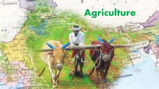 Agriculture
 