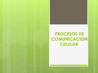 PROCESOS DE
COMUNICACIÓN
   CELULAR.
 