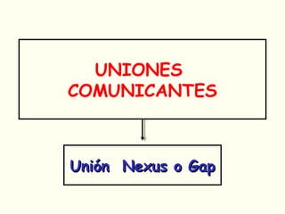 UNIONES
COMUNICANTES
Unión Nexus o GapUnión Nexus o Gap
 