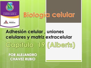 Adhesión celular , uniones
celulares y matriz extracelular

 