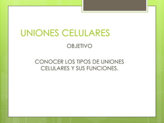 UNIONES CELULARES
           OBJETIVO

  CONOCER LOS TIPOS DE UNIONES
   CELULARES Y SUS FUNCIONES.
 