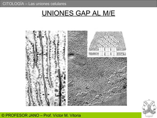 UNIONES GAP AL M/E 