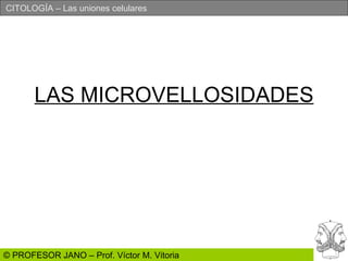 LAS MICROVELLOSIDADES 