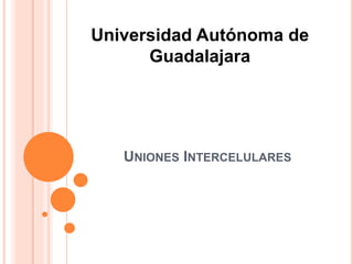 UNIONES INTERCELULARES
Universidad Autónoma de
Guadalajara
 