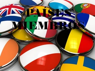 PAÍSES
MIEMBROS
 