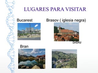 LUGARES PARA VISITAR
Bucarest Brasov ( iglesia negra)
Sibiu
Bran
 
