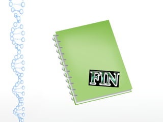FIN
 