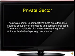 Private Sector The private sector is competitive; there are alternative sources of supply for the goods and services produced. There are a multitude of choices in everything from automobile dealerships to grocery stores. 