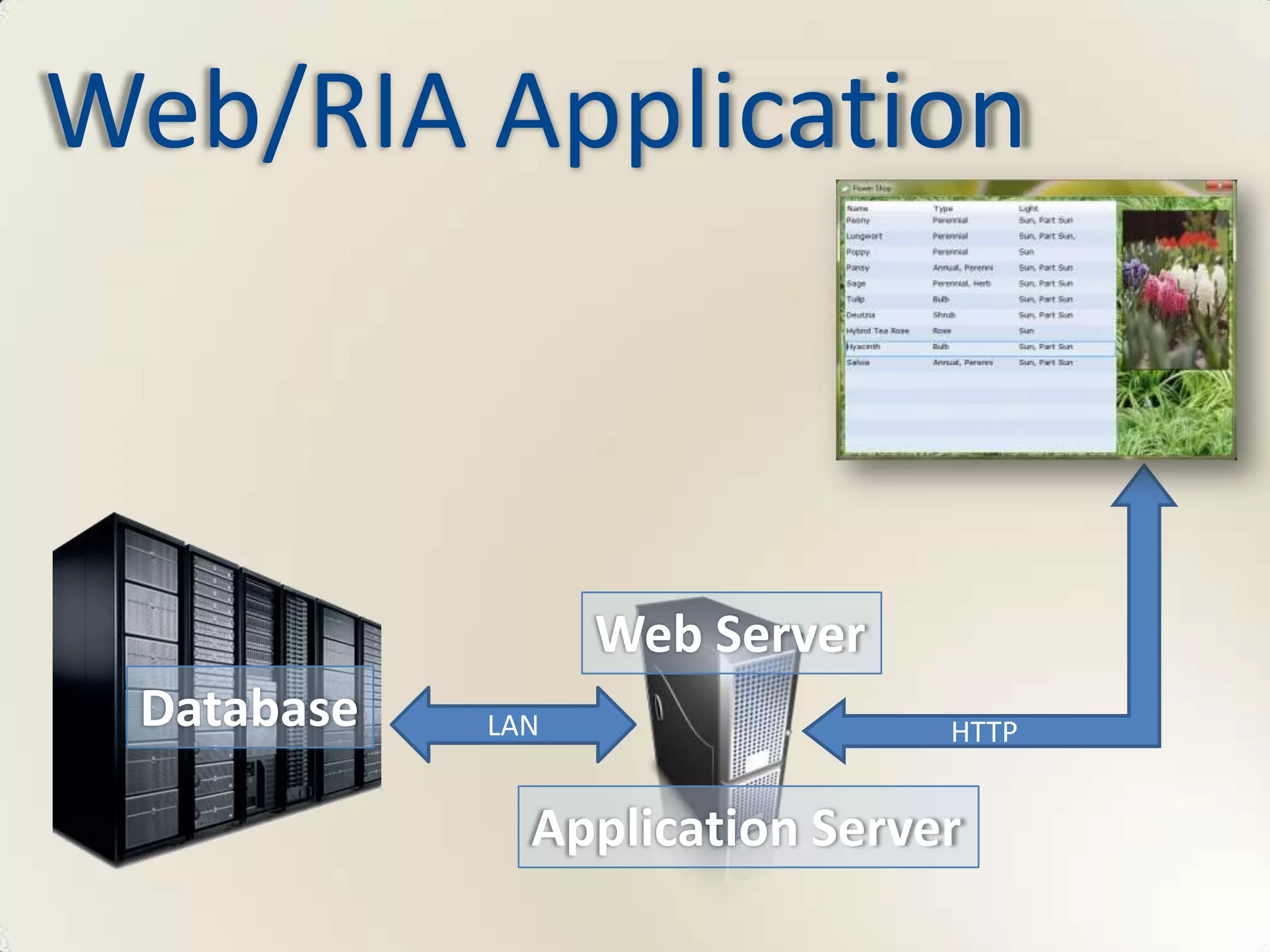 Web/RIA Application



                  Web Server
 Database   LAN                HTTP


              Application Server
 