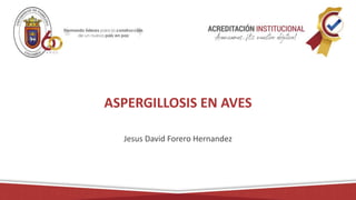 ASPERGILLOSIS EN AVES
Jesus David Forero Hernandez
 