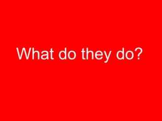 What do they do? 
 