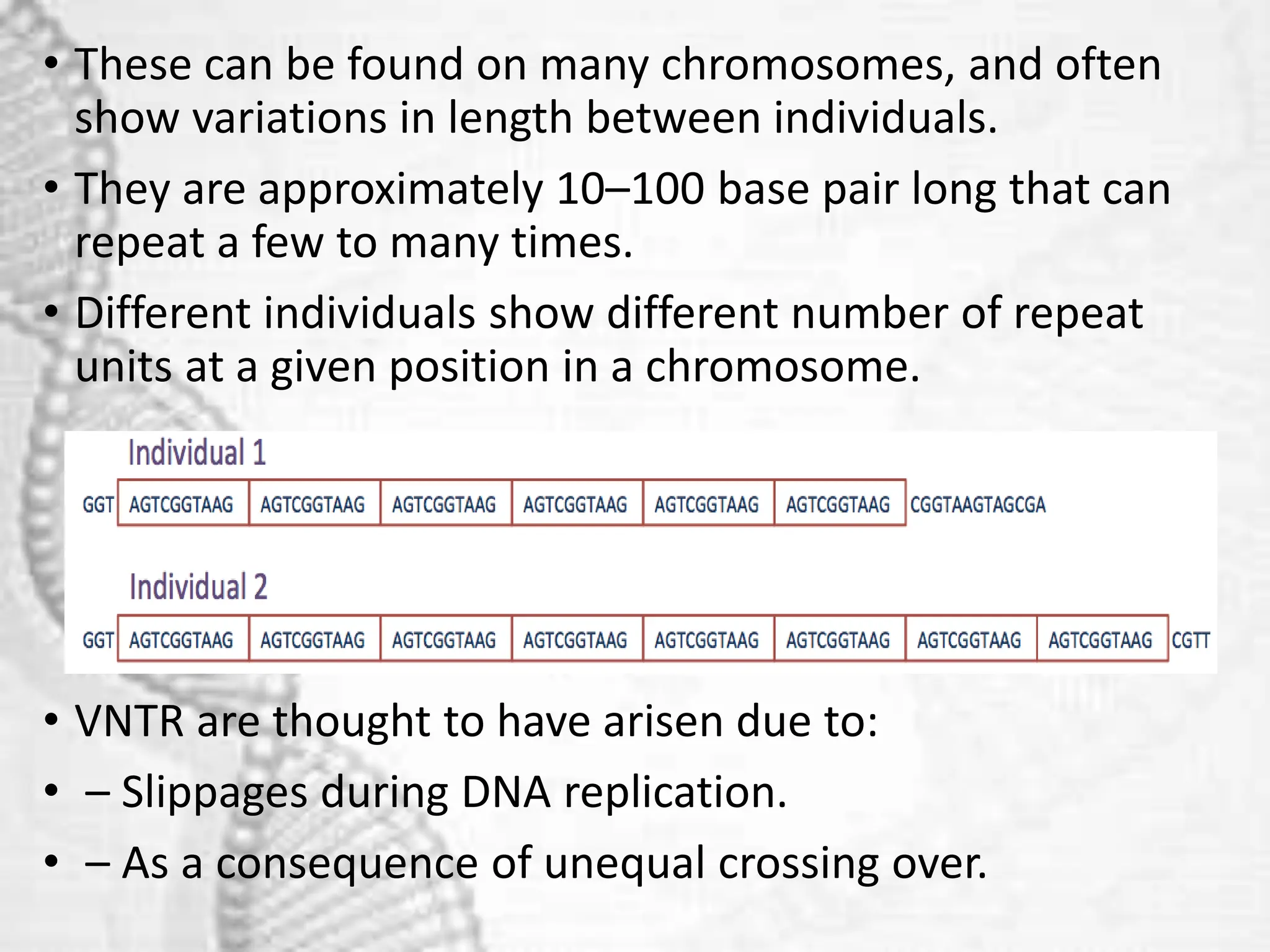 • These can be found on many chromosomes, and often
show variations in length between individuals.
• They are approximately 10–100 base pair long that can
repeat a few to many times.
• Different individuals show different number of repeat
units at a given position in a chromosome.
• VNTR are thought to have arisen due to:
• – Slippages during DNA replication.
• – As a consequence of unequal crossing over.
 
