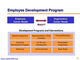 36www.exploreHR.org
CONCEPTUAL FRAMEWORK
Employee Development ProgramEmployee Development Program
Employee
Career Needs
Organization
Career Needs
Match?Match?
Special Assignment
Mentoring
Executive
Development Program
Job Enrichment
On the Job
Development
Apprenticeship in Other
Company
Presentation
Assignment
Training/Workshop
Desk Study
Development Programs and InterventionsDevelopment Programs and Interventions
 
