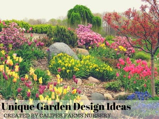 Unique Garden Design Ideas
CREATED BY CALIPER FARMS NURSERY
 