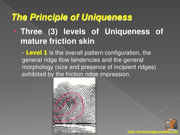 Uniqueness and permanence of friction ridge
