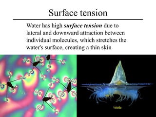 Water Overview Unique properties of water overview | PPTX