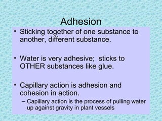 Unique properties of water | PPT