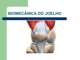 BIOMECÂNICA DO JOELHO
 