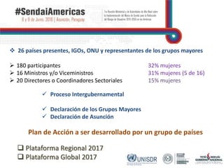  26 países presentes, IGOs, ONU y representantes de los grupos mayores
 180 participantes 32% mujeres
 16 Ministros y/o Viceministros 31% mujeres (5 de 16)
 20 Directores o Coordinadores Sectoriales 15% mujeres
 Proceso Intergubernamental
 Declaración de los Grupos Mayores
 Declaración de Asunción
Plan de Acción a ser desarrollado por un grupo de países
 Plataforma Regional 2017
 Plataforma Global 2017
 