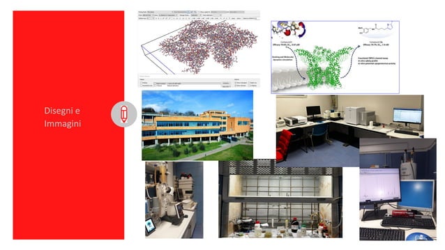 Gruppo SYNCOM: presentazione delle attività | PPT