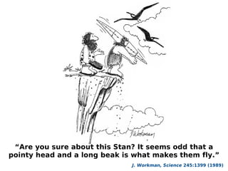 “Are you sure about this Stan? It seems odd that a
pointy head and a long beak is what makes them fly.”
                              J. Workman, Science 245:1399 (1989)
 