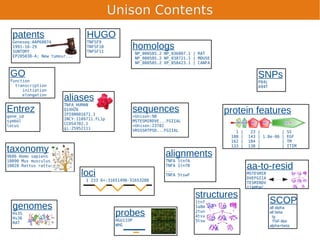Unison Contents
  patents                       HUGO
  Geneseq:AAP60074              TNFSF9
  1991-10-29
  SUNTORY
                                TNFSF10
                                TNFSF11
                                                      homologs
                                                      NP_000585.2 NP_036807.1 | RAT
  EP205038-A; New tumour...
                                                      NP_000585.2 NP_038721.1 | MOUSE
                                                      NP_000585.2 XP_858423.1 | CANFA


 GO                                                                                                      SNPs
 Function                                                                                                P84L
   transcription                                                                                         A94T
      initiation
      elongation
                       aliases
                       TNFA_HUMAN
Entrez                 Q1XHZ6
                       IPI00001671.1
                                                      sequences                         protein features
gene_id                                               >Unison:98
                       INCY:1109711.FL1p
symbol                                                MSTESMIRDVE...FGIIAL
                       CCDS4702.1
locus                                                 >Unison:23782
                       gi:25952111
                                                      VRSSSRTPSD...FGIIAL                  1   |    23   |         | SS
                                                                                         108   |   143   | 1.8e-06 | EGF
                                                                                         162   |   184   |         | TM

taxonomy                                                           alignments
                                                                                         133   |   138   |         | ITIM

9606 Homo sapiens
10090 Mus musculus                                                 TNFA 1tnfA
10028 Rattus rattus                                                TNFA 1tnfB
                                                                                                   aa-to-resid
                              loci                                 ...
                                                                   TNFA 5tswF                      MSTESMIR
                                                                                                   DVEFGIIA
                                1 233 6+:31651498-31653288
                                                                                                   TESMIRDV
                                                                                                   IIAMDAC

                                                                                structures
                                                                                1tnf                            SCOP
  genomes                                                                       1a8m                            all alpha
  Hs35
  Hs36
                                            probes                              2tun
                                                                                4tsv
                                                                                                                all beta
                                                                                                                 Ig
                                            HGU133P                             5tsw                             TNF-like
  RAT
                                            WHG                                                                 alpha+beta
 