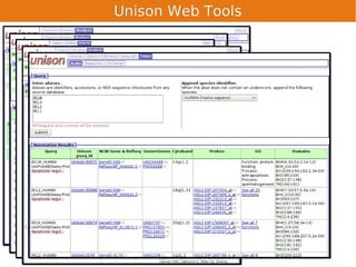 Unison Web Tools
 