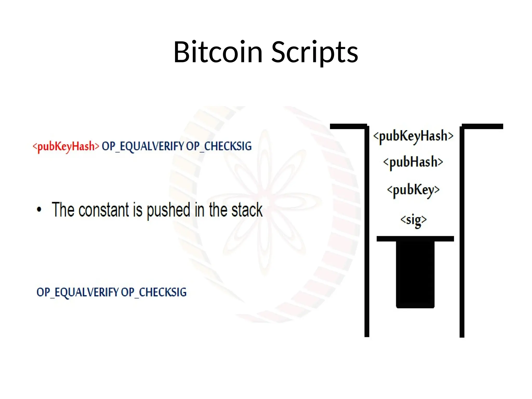 Bitcoin Scripts
 