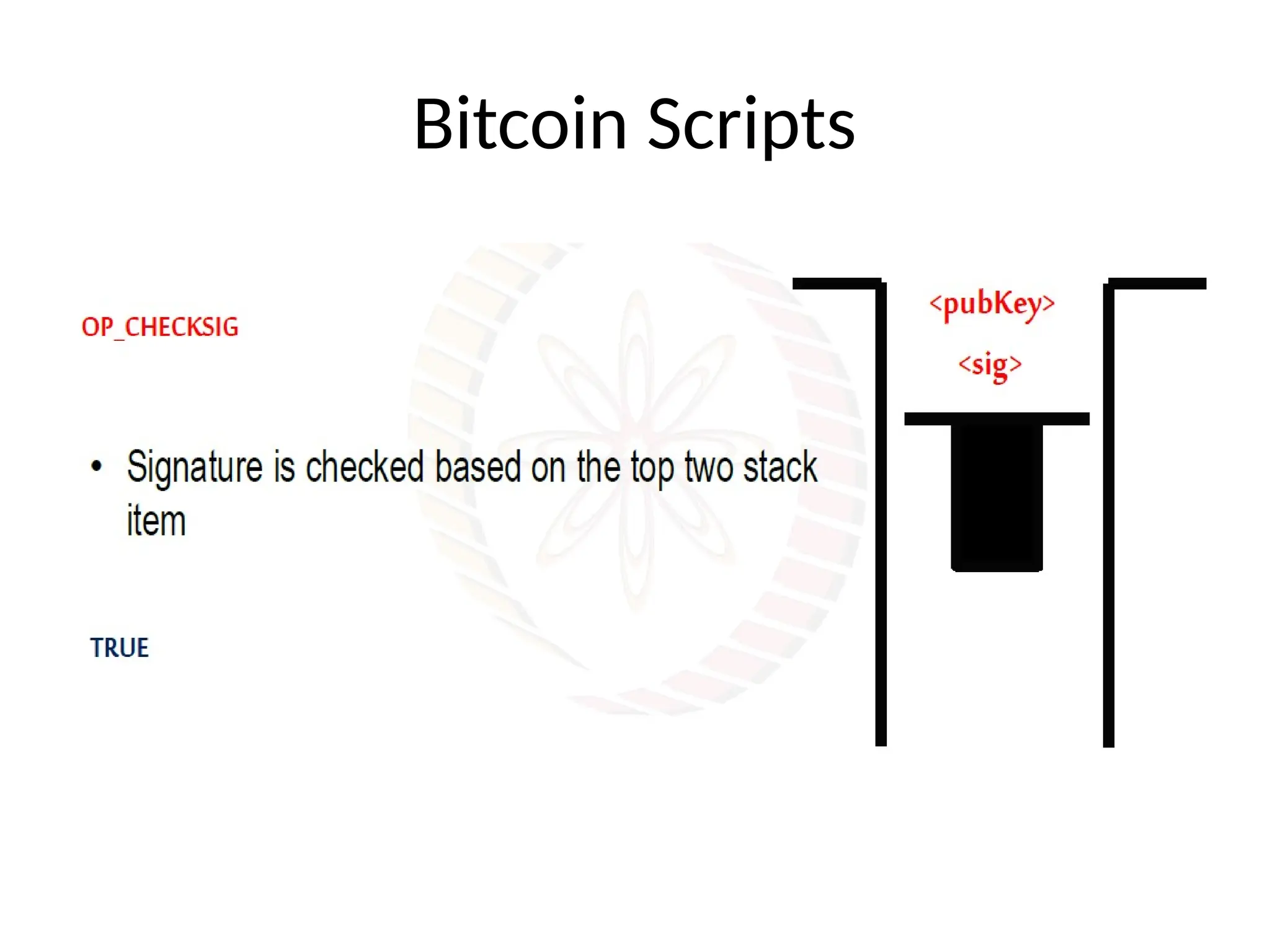 Bitcoin Scripts
 