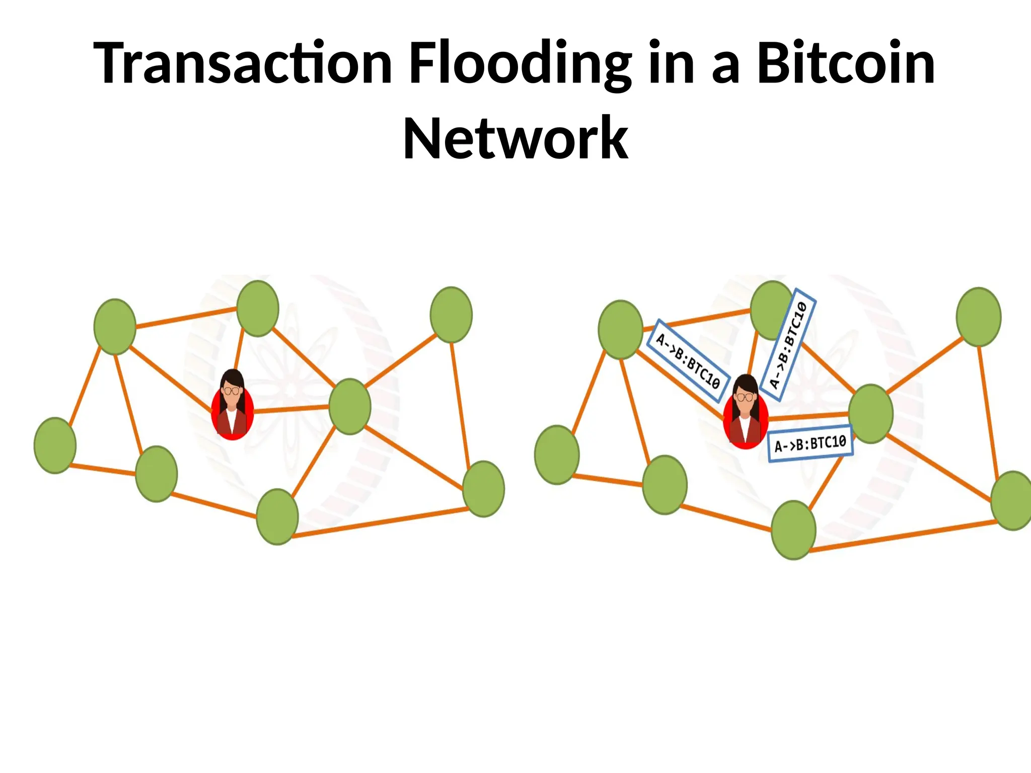 Transaction Flooding in a Bitcoin
Network
 