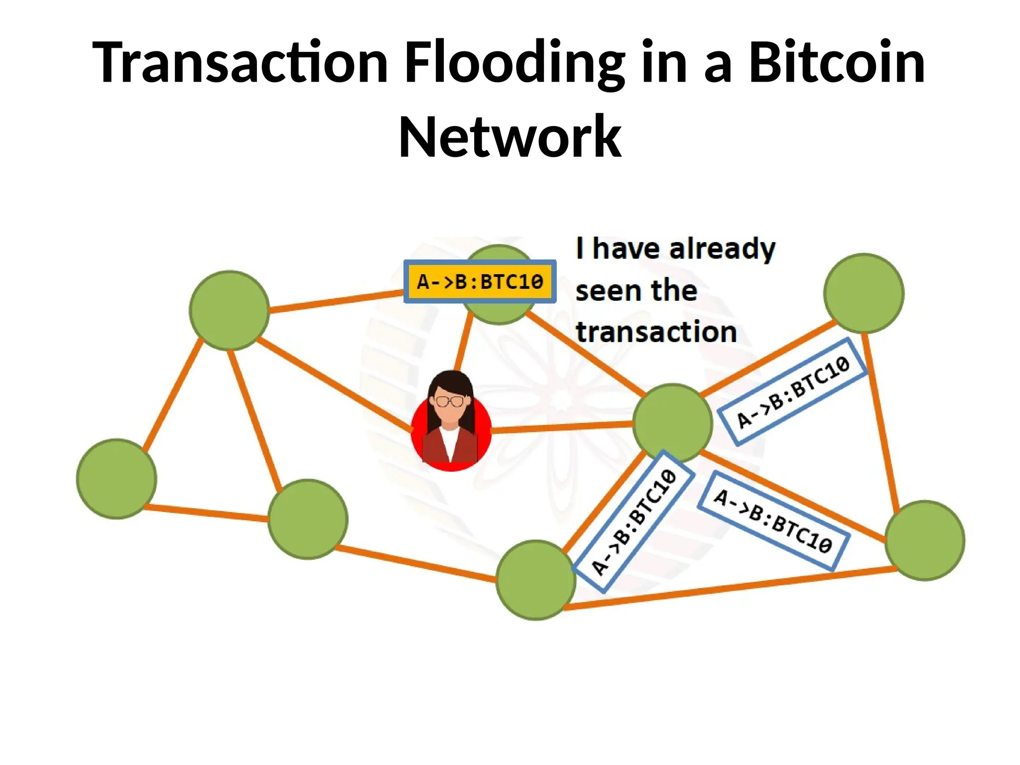 Transaction Flooding in a Bitcoin
Network
 