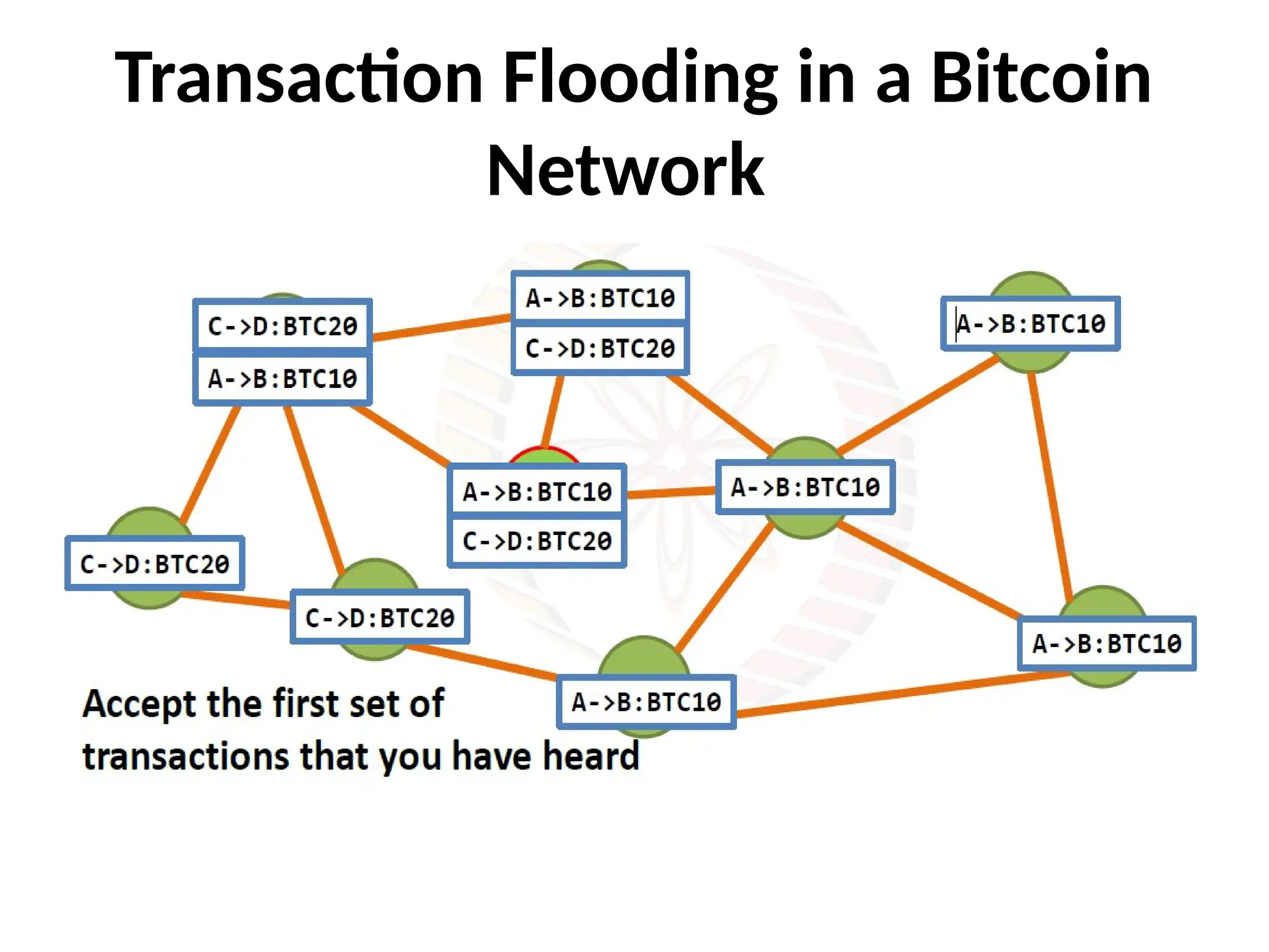 Transaction Flooding in a Bitcoin
Network
 