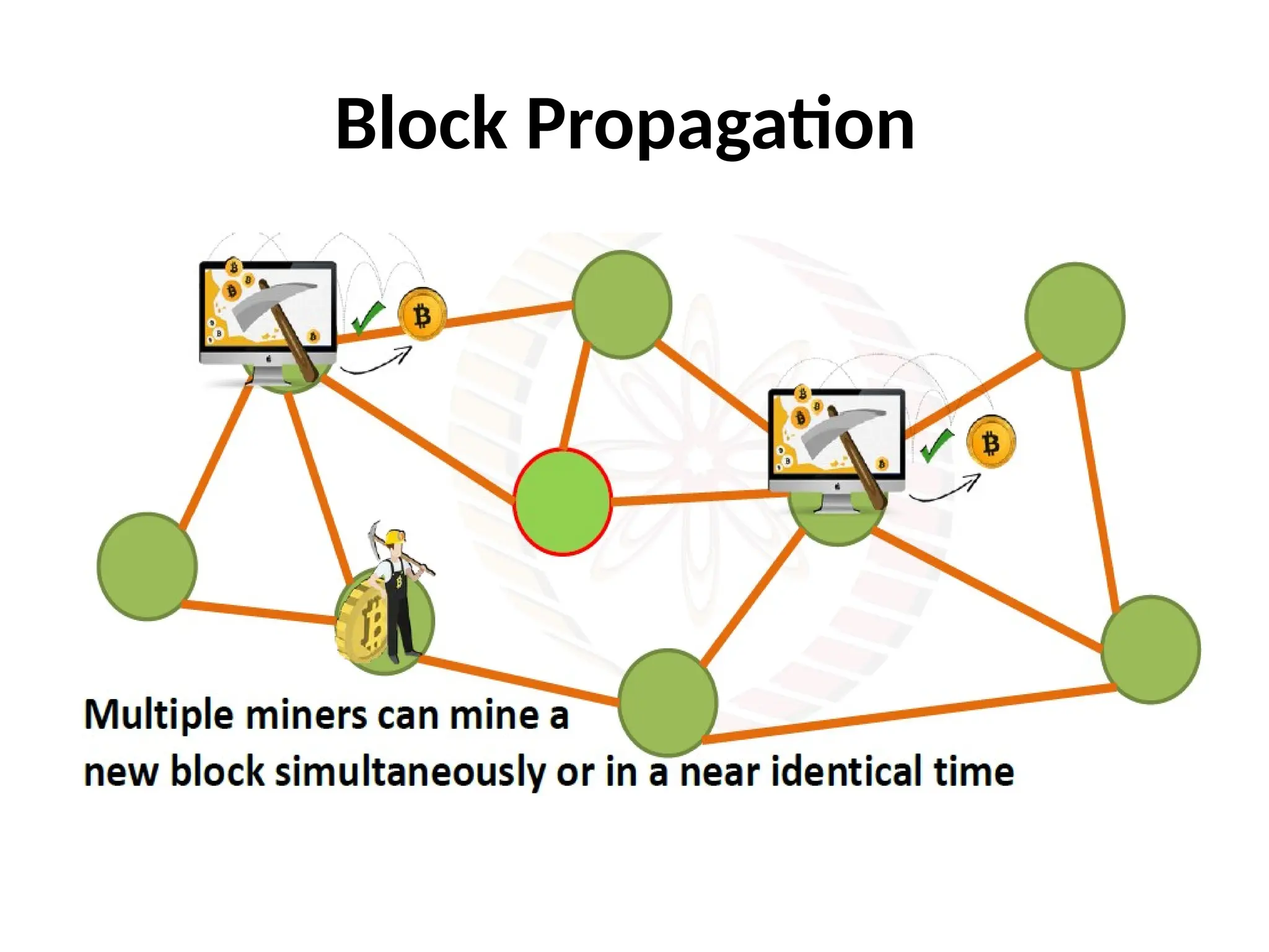 Block Propagation
 