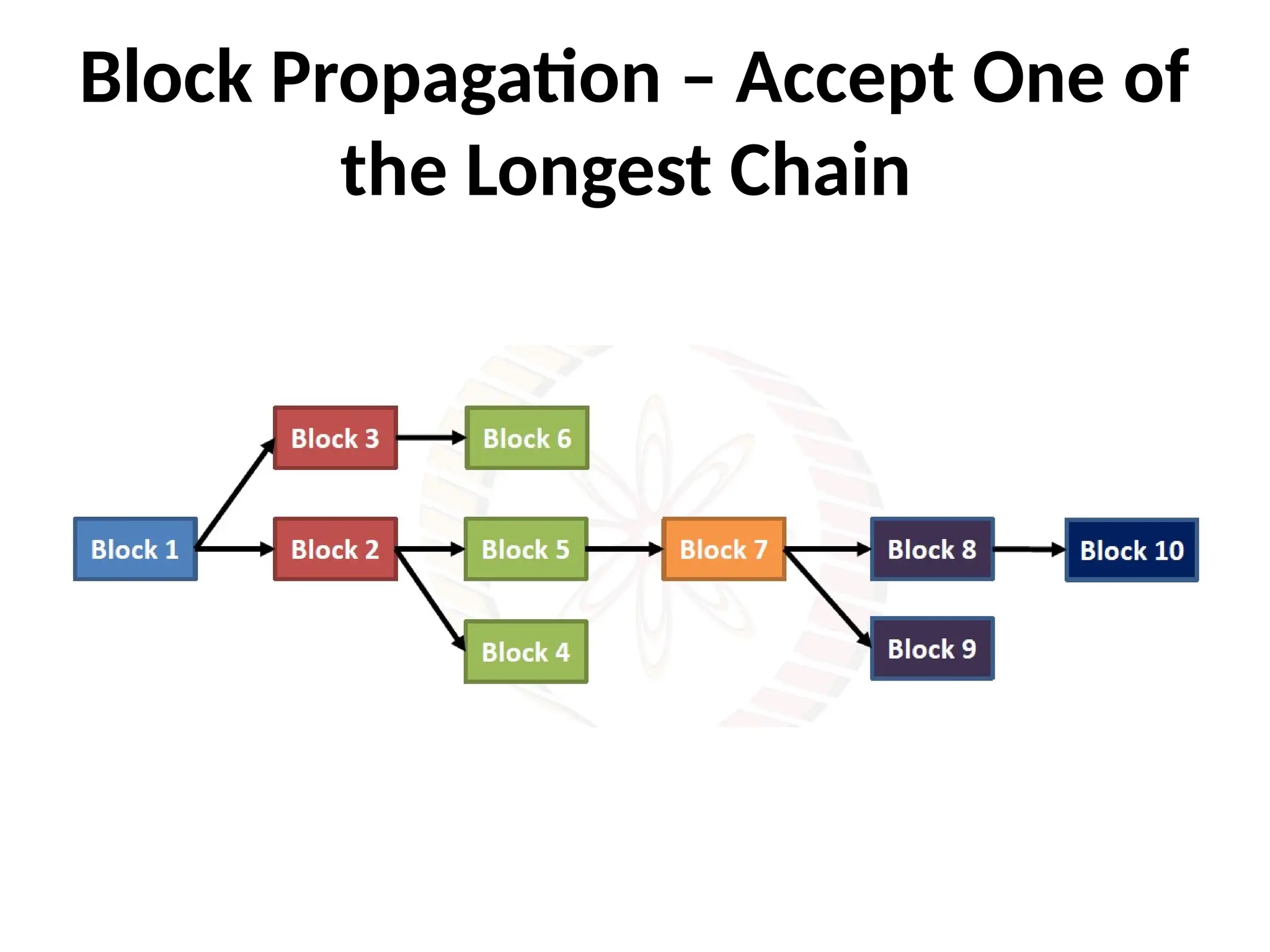 Block Propagation – Accept One of
the Longest Chain
 