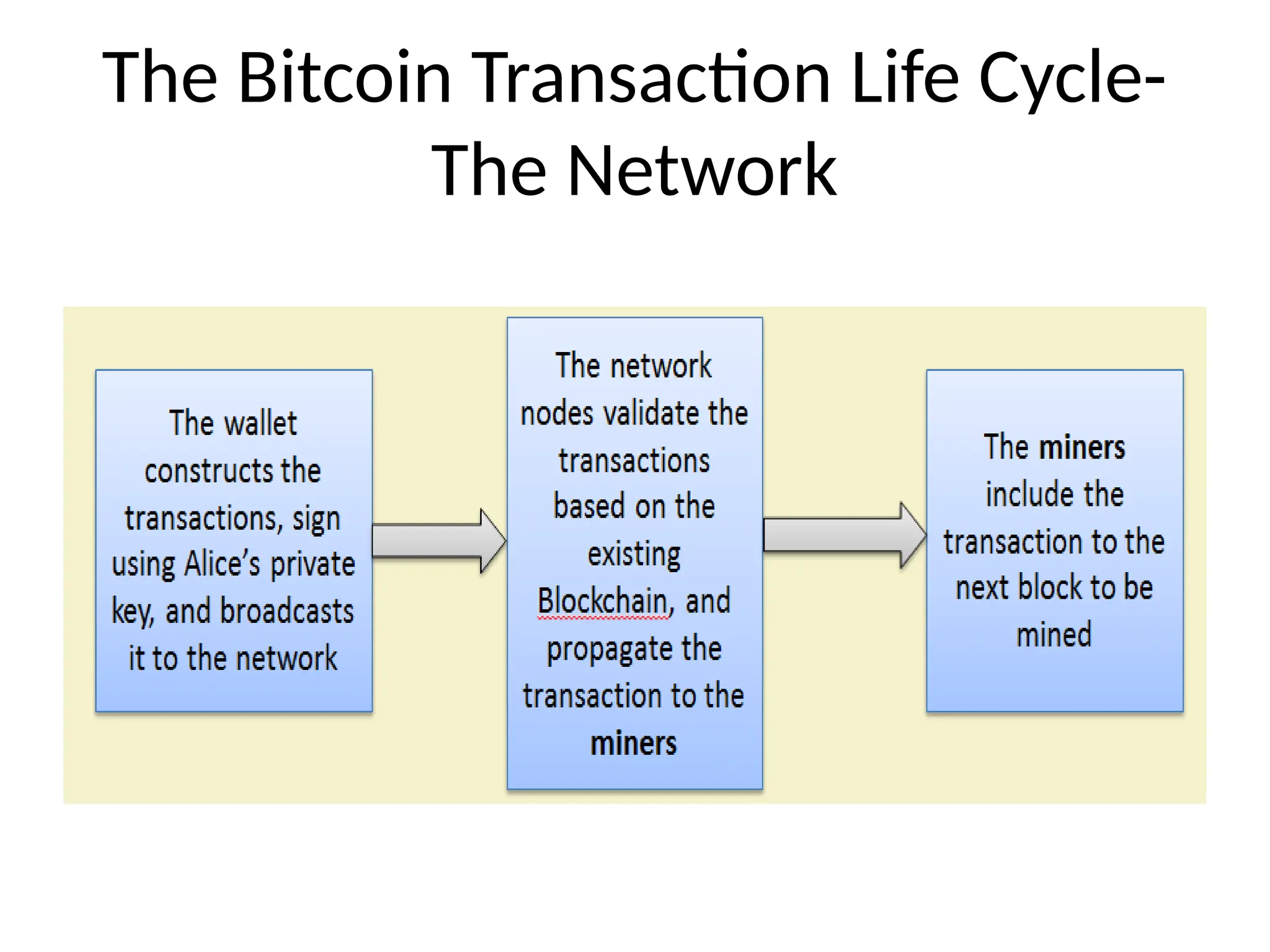 The Bitcoin Transaction Life Cycle-
The Network
 