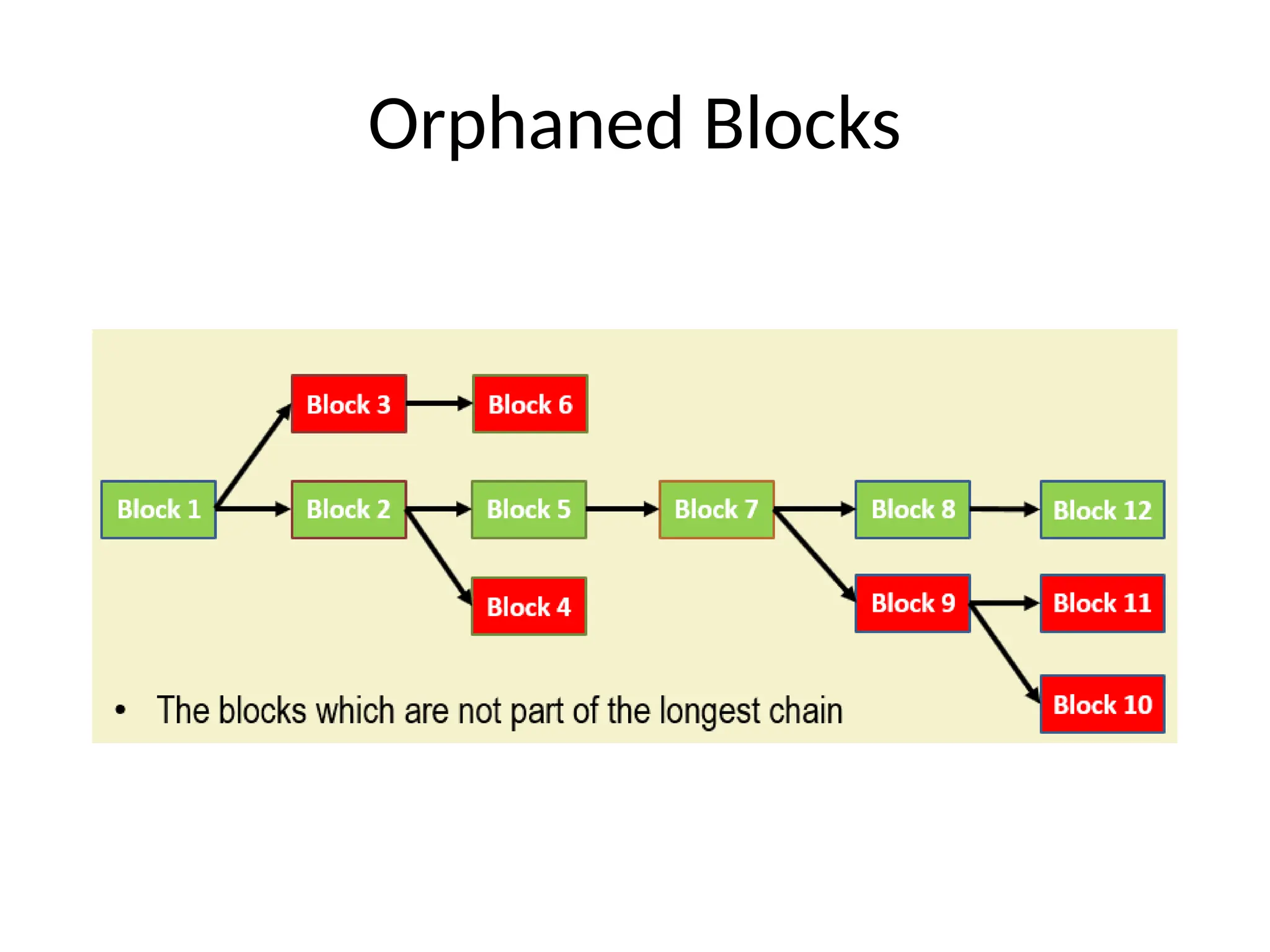 Orphaned Blocks
 