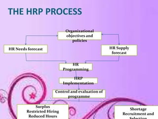 THE HRP PROCESS
                             Organizational
                             objectives and
                  ...