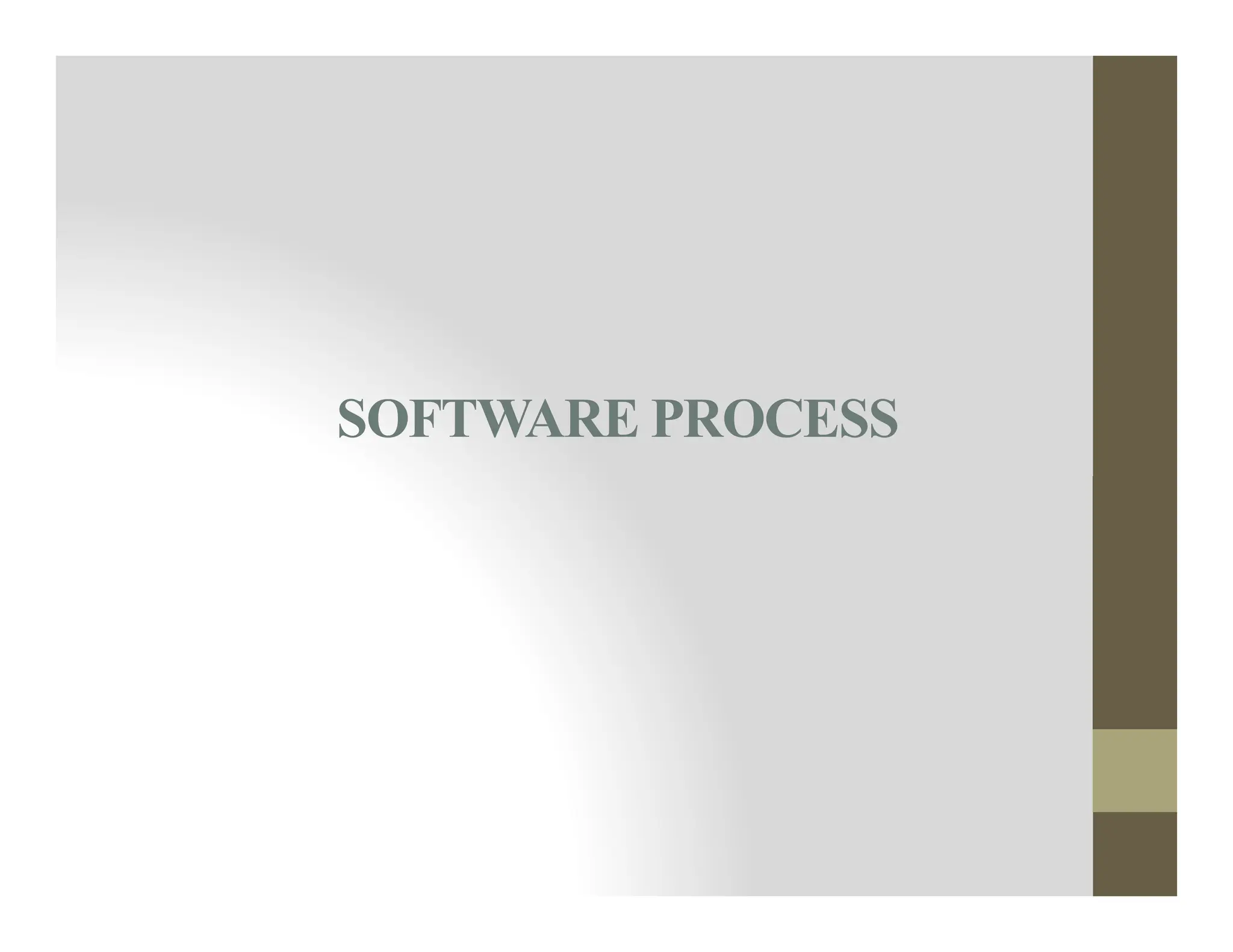 SOFTWARE PROCESS
 