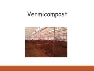 Vermicompost
 