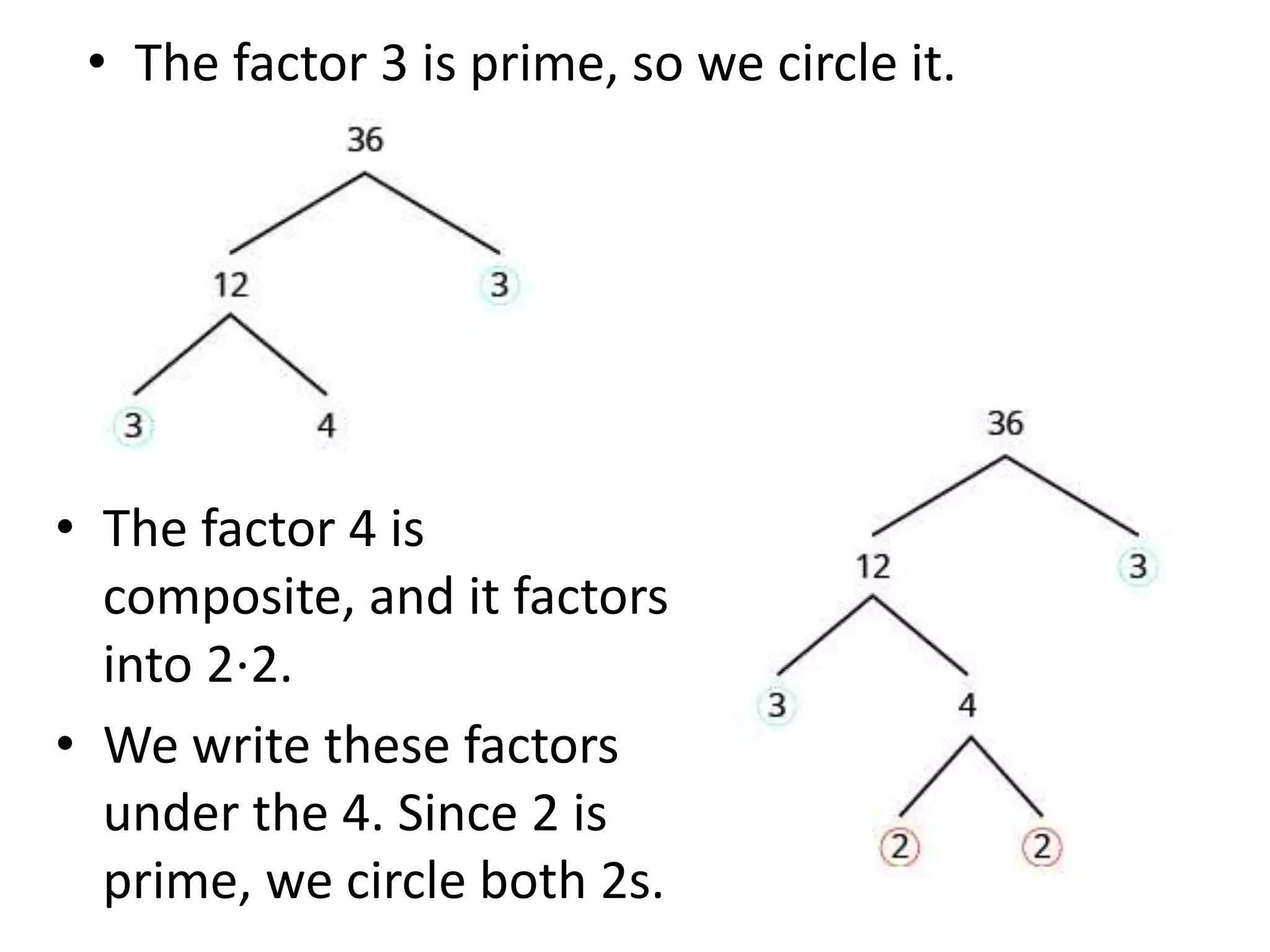 • The factor 4 is
composite, and it factors
into 2⋅2.
• We write these factors
under the 4. Since 2 is
prime, we circle both 2s.
• The factor 3 is prime, so we circle it.
 