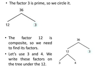 • The factor 3 is prime, so we circle it.
• The factor 12 is
composite, so we need
to find its factors.
• Let’s use 3 and 4. We
write these factors on
the tree under the 12.
 