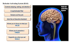 Reticular Activating System (RAS)
 