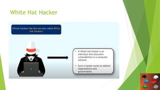 White Hat Hacker
 
