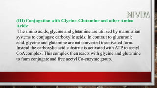 (III) Conjugation with Glycine, Glutamine and other Amino
Acids:
The amino acids, glycine and glutamine are utilized by mammalian
systems to conjugate carboxylic acids. In contrast to glucuronic
acid, glycine and glutamine are not converted to activated form.
Instead the carboxylic acid substrate is activated with ATP to acetyl
CoA complex. This complex then reacts with glycine and glutamine
to form conjugate and free acetyl Co-enzyme group.
 