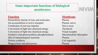 Some important functions of biological
membranes
Function
Permeability barrier of ions and molecules
Ion accumulation or active transport
Conduction of nervous impulse
Conversion of light into chemical energy
Conversion of light into electrical energy
Oxidative and photosynthetic phosphorylation
Site of immunological reactions
Protein synthesis
Phagocytosis and pinocytosis
Membrane
Plasma
Plasma, nerve
Nerve axon
Thylakoid
Visual receptor
Mitochondrial chloroplast
Plasma
Cell organelle
Plasma
 